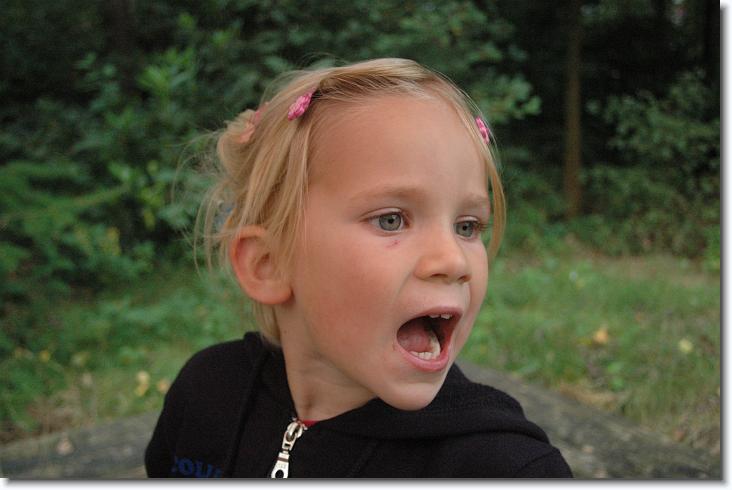 Volgende foto