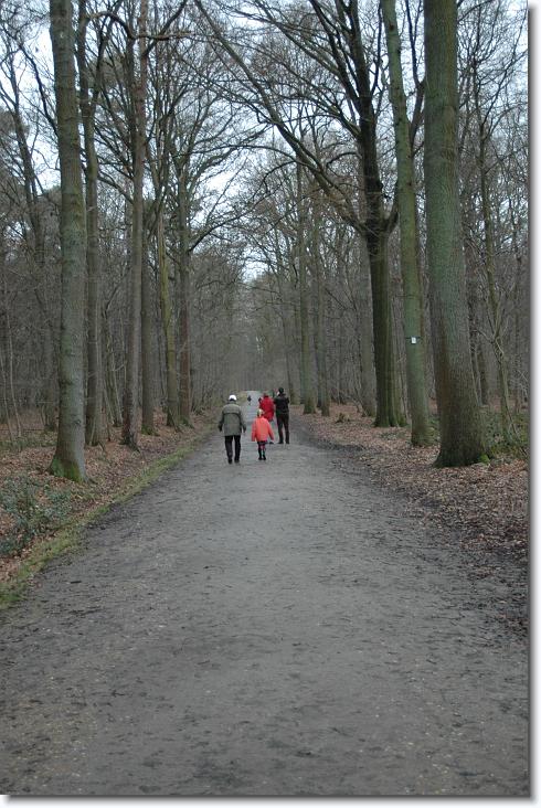 Volgende foto