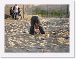 IMG_0084 * 3264 x 2448 * (4.65MB)