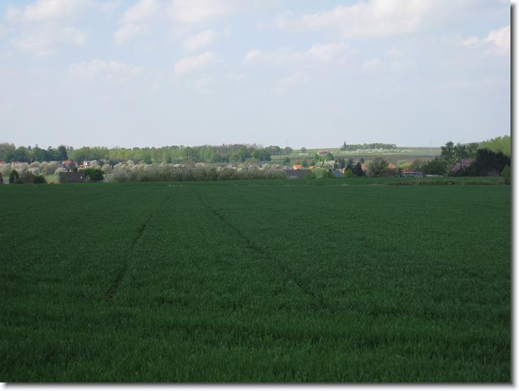 Volgende foto