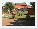 TuinTijdens4 * 1152 x 864 * (486KB)